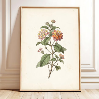 Lantana Botanische Cottagecore Print