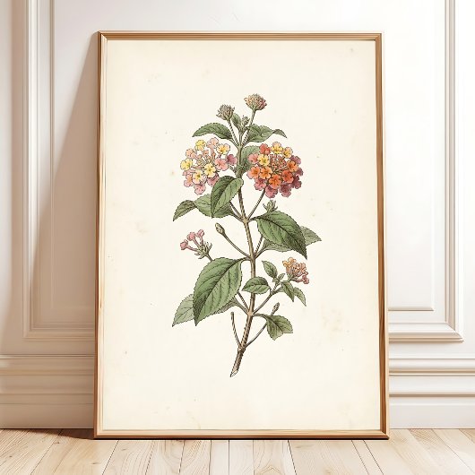 Lantana Botanische Cottagecore Print