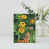 Lantana Camara Flowers Briefkaart (Staand voorkant)