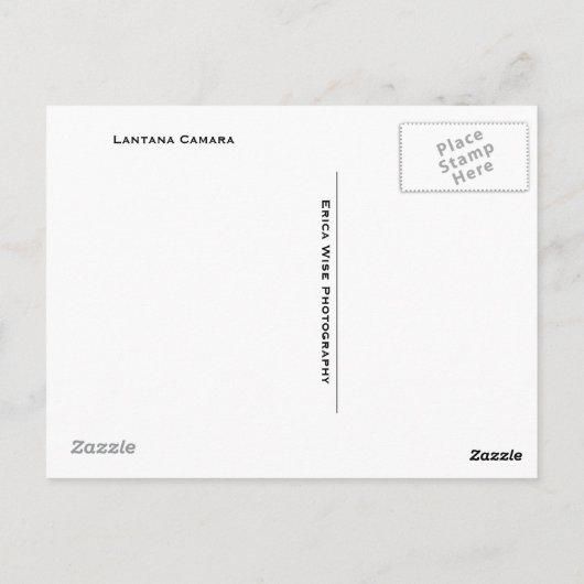 Lantana Camara Flowers Briefkaart (Achterkant)