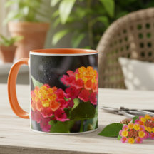 Lantana Felgekleurde Botanische Bloemen