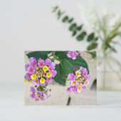 Lantana Flowers Post Card Briefkaart (Staand voorkant)