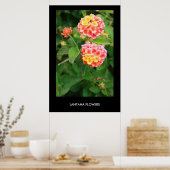 Lantana Flowers Poster, afdrukken Poster (Keuken)