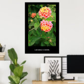 Lantana Flowers Poster, afdrukken Poster (Thuiskantoor)