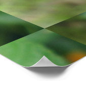 Lantana Garden Flower Yellow Poster (Hoek)