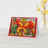 Lantana Kaart (Gele Bloem)