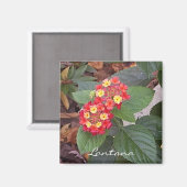 Lantana Magnet (Voorkant / Achterkant)
