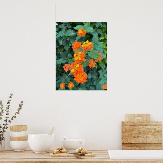 Lantana Poster (Keuken)