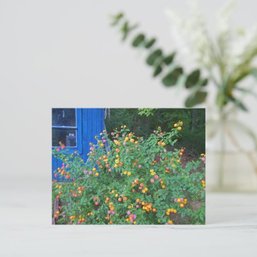 Lantana Struik Briefkaart (Staand voorkant)