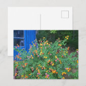 Lantana Struik Briefkaart (Voorkant / Achterkant)