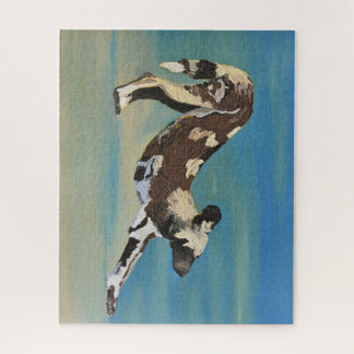 lanterfanter legpuzzel