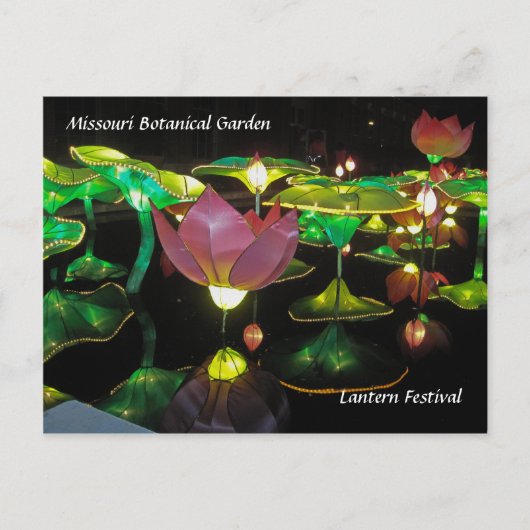 Lantern Festival Briefkaart (Voorkant)
