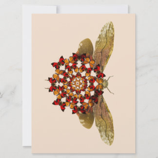 Lantern Fly and Butterfly Mandala Aankondiging