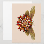 Lantern Fly and Butterfly Mandala Aankondiging (Voorkant / Achterkant)