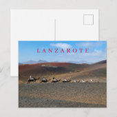 Lanzarote kamelen uitzicht briefkaart (Voorkant / Achterkant)