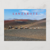 Lanzarote kamelen uitzicht briefkaart (Voorkant)