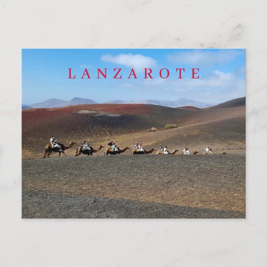 Lanzarote kamelen uitzicht briefkaart (Voorkant)