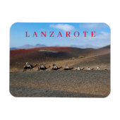 Lanzarote kamelen uitzicht koelkastmagneet magneet (Horizontaal)
