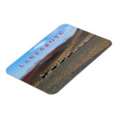 Lanzarote kamelen uitzicht koelkastmagneet magneet (Linkerzijde)