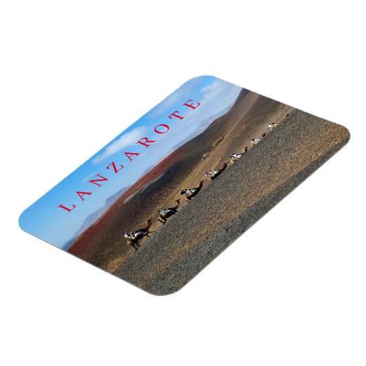 Lanzarote kamelen uitzicht koelkastmagneet magneet (Linkerzijde)