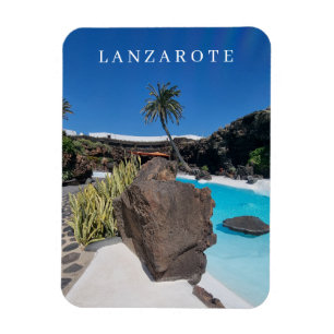 Lanzarote zwembad en palmboom uitzicht magneet