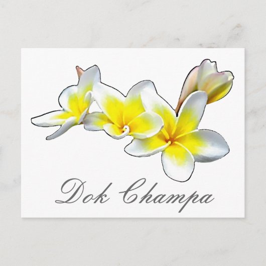 LAO FLOWER DOK CHAMPA - PLUMERIA RUBRA BRIEFKAART (Voorkant)
