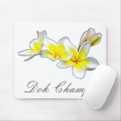 LAO FLOWER DOK CHAMPA - PLUMERIA RUBRA MUISMAT (Met muis)