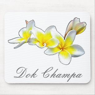 LAO FLOWER DOK CHAMPA - PLUMERIA RUBRA MUISMAT