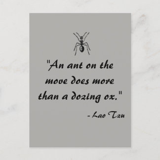 Lao Tzu Ant Quote Briefkaart