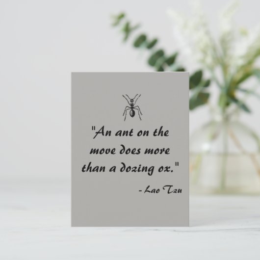 Lao Tzu Ant Quote Briefkaart (Staand voorkant)