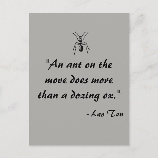 Lao Tzu Ant Quote Briefkaart (Voorkant)