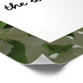 Lao Tzu Letting Go Quote Inspirerend Poster (Hoek)