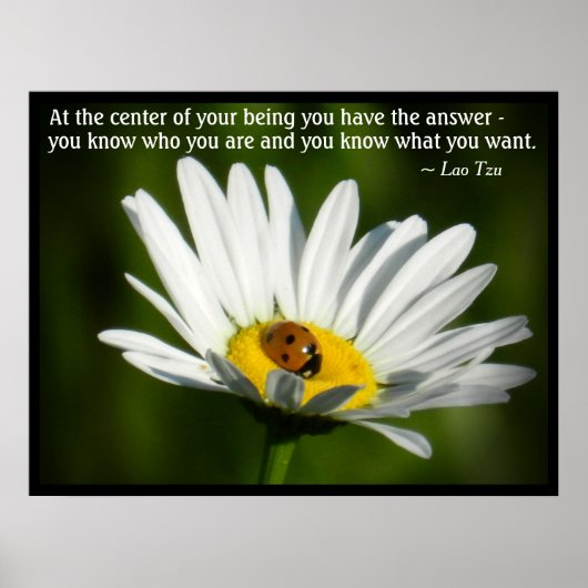Lao Tzu Quote Inspiration Motivation Ladybug Daisy Poster (Voorkant)