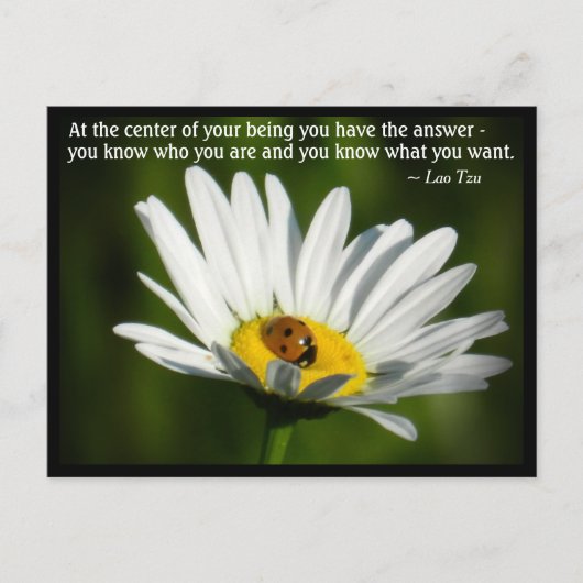 Lao Tzu Quote Ladybird Daisy inspirerende motivati Briefkaart (Voorkant)