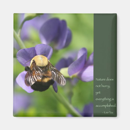 Lao Tzu Woorden van Wijsheid Magneet (Voorkant)