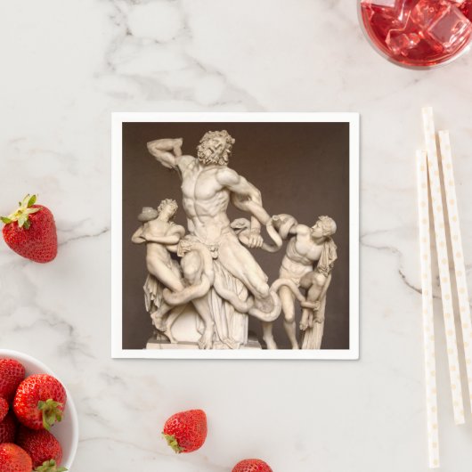 Laocoon en Sons Servet (Insitu)