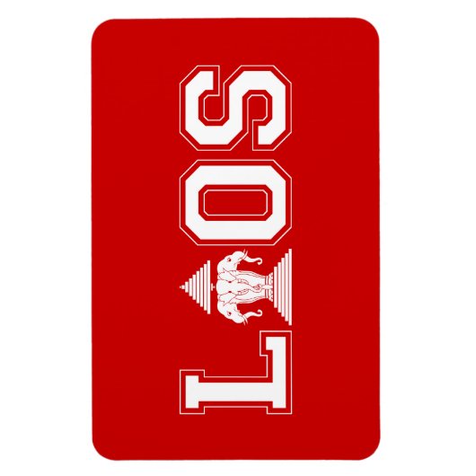 LAOS UNIVERSITEIT MAGNEET (Verticaal)