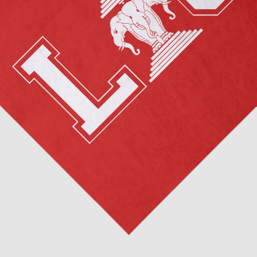 LAOS UNIVERSITEIT TISSUEPAPIER (Detail)