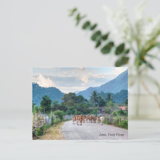 Laos, Vang Vieng Briefkaart (Staand voorkant)