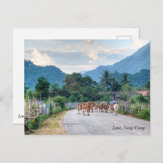 Laos, Vang Vieng Briefkaart (Voorkant / Achterkant)