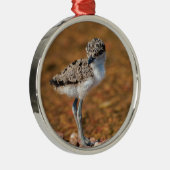 Lapidwing Chick Metalen Ornament (Rechts)