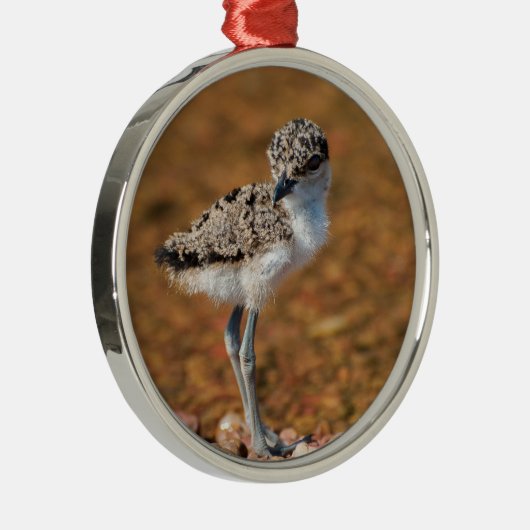 Lapidwing Chick Metalen Ornament (Rechts)