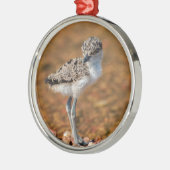 Lapidwing Chick Metalen Ornament (Links)