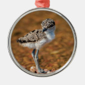 Lapidwing Chick Metalen Ornament (Voorkant)