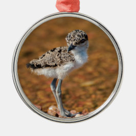 Lapidwing Chick Metalen Ornament