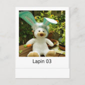Lapin 03 briefkaart (Voorkant)