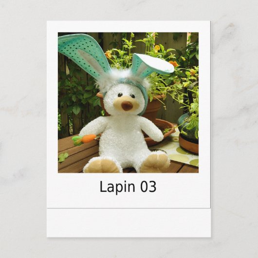 Lapin 03 briefkaart (Voorkant)