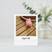 Lapine 06 briefkaart (Staand voorkant)