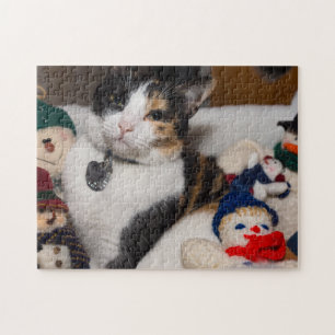 Lapjeskat En Sneeuwmannen Legpuzzel