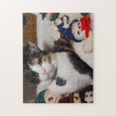 Lapjeskat En Sneeuwmannen Legpuzzel (Verticaal)
